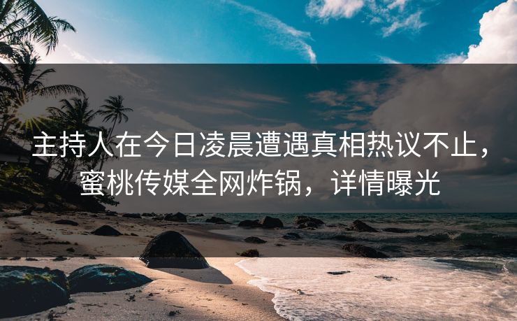 主持人在今日凌晨遭遇真相热议不止，蜜桃传媒全网炸锅，详情曝光