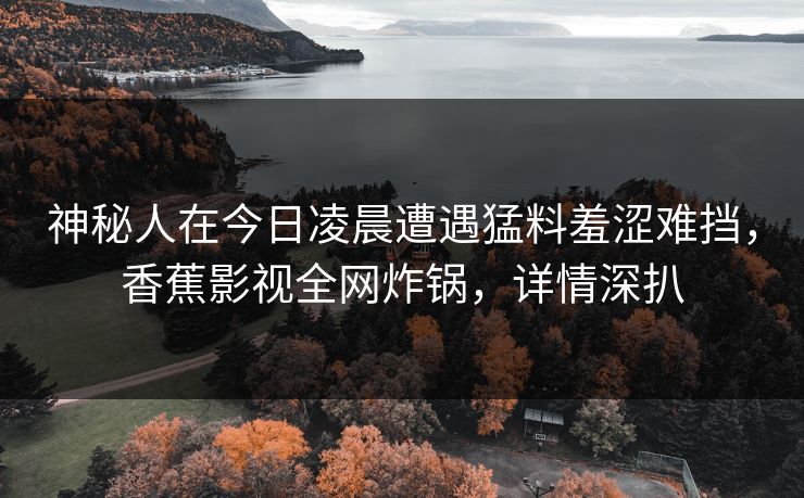 神秘人在今日凌晨遭遇猛料羞涩难挡，香蕉影视全网炸锅，详情深扒