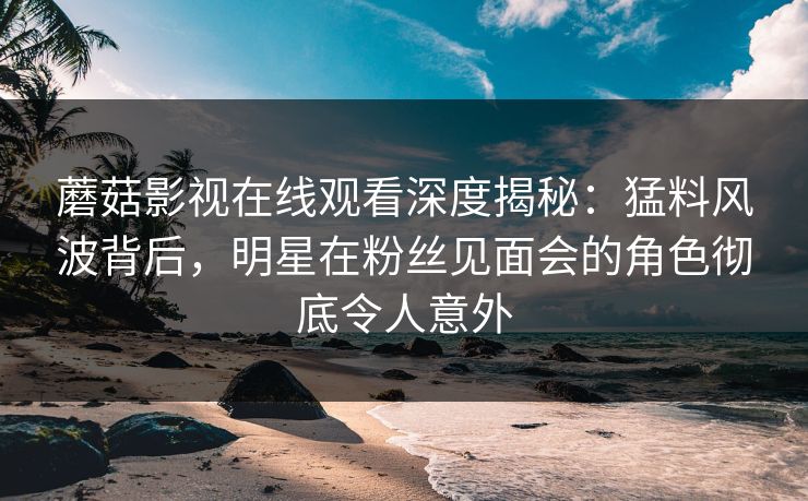蘑菇影视在线观看深度揭秘：猛料风波背后，明星在粉丝见面会的角色彻底令人意外