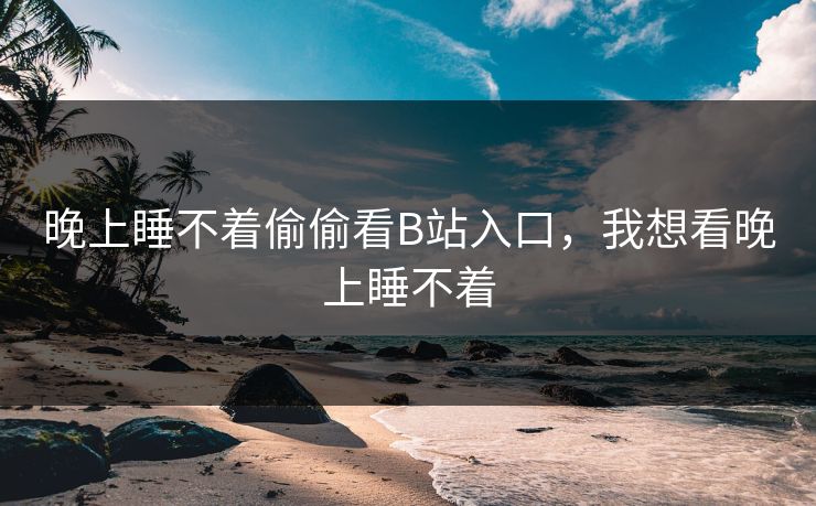 晚上睡不着偷偷看B站入口，我想看晚上睡不着