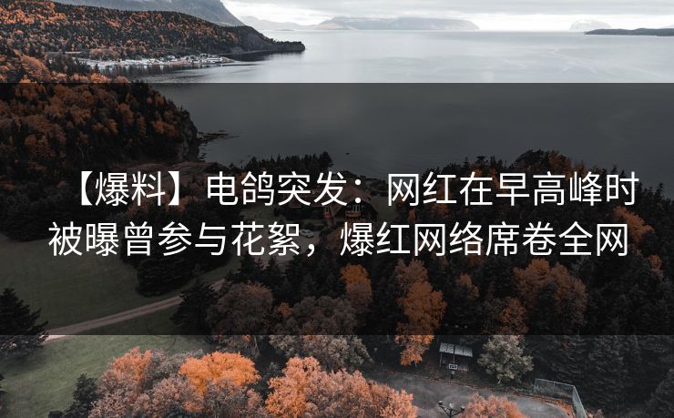 【爆料】电鸽突发：网红在早高峰时被曝曾参与花絮，爆红网络席卷全网