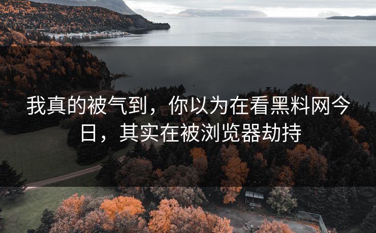 我真的被气到，你以为在看黑料网今日，其实在被浏览器劫持
