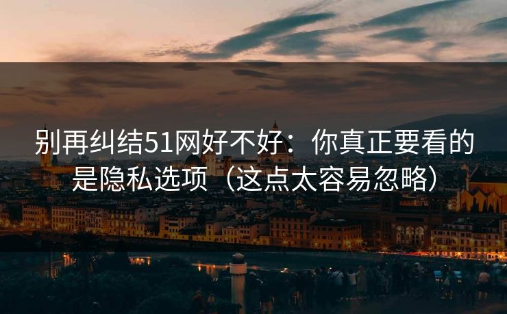 别再纠结51网好不好：你真正要看的是隐私选项（这点太容易忽略）